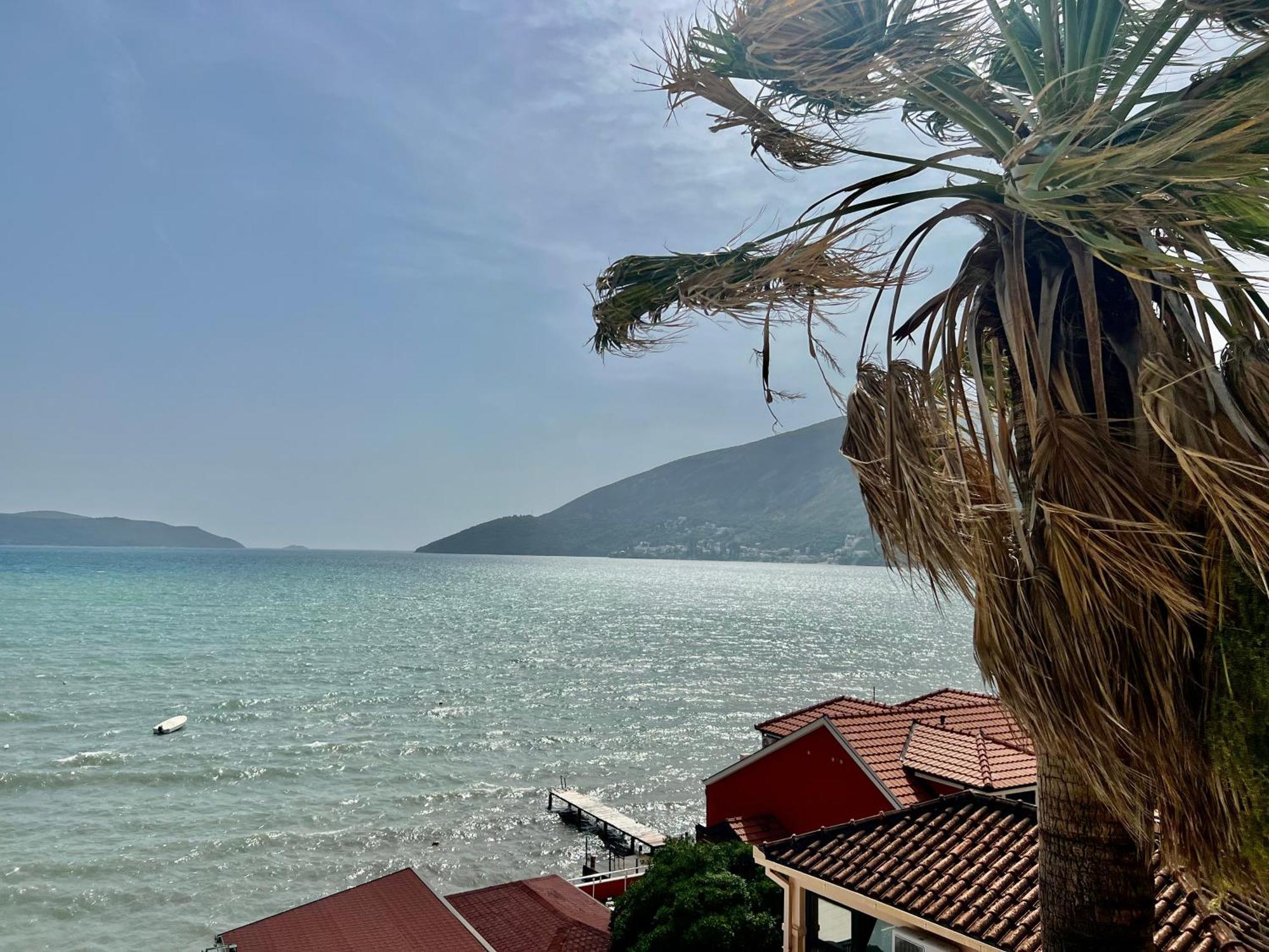 Aleksandr First Line Sea View Apartment